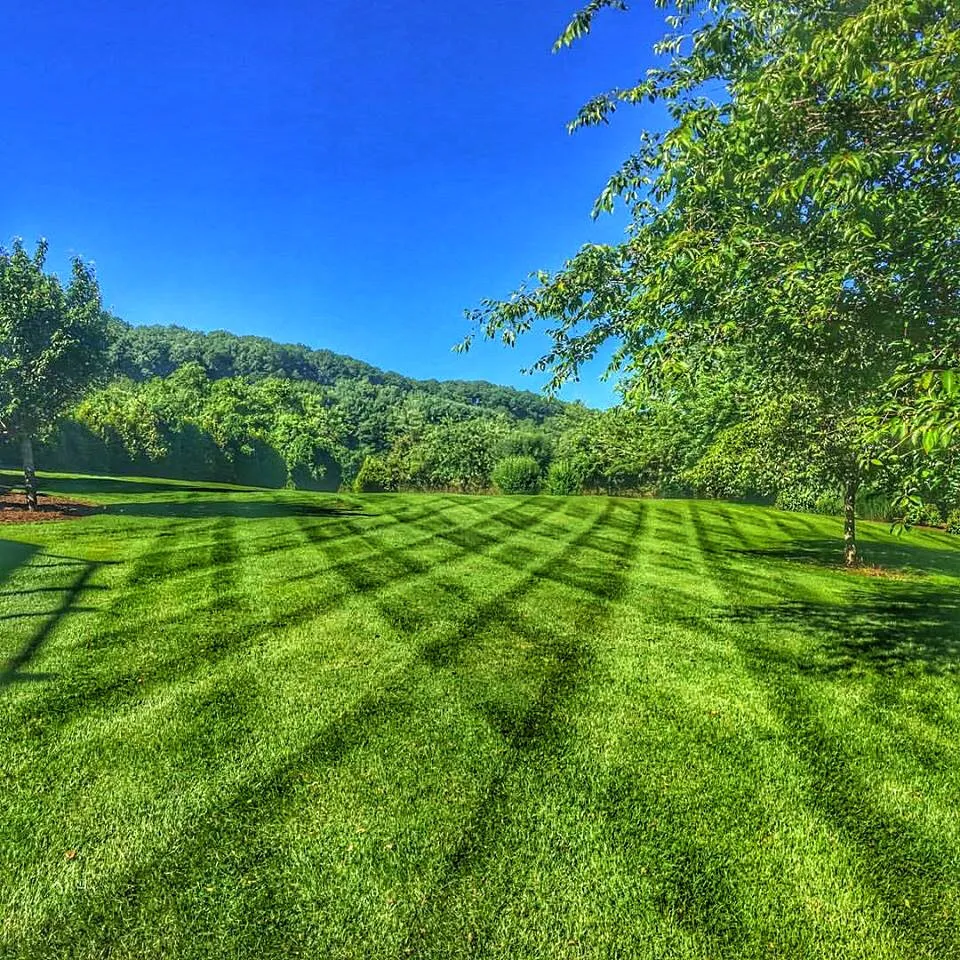 Reliable residential landscaping experts serving Wytheville, VA - New River Landscapes