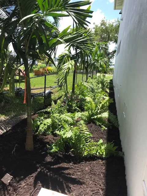 Top-rated lawn mowing service experts serving Bradenton, FL - New Roots Landscape Design