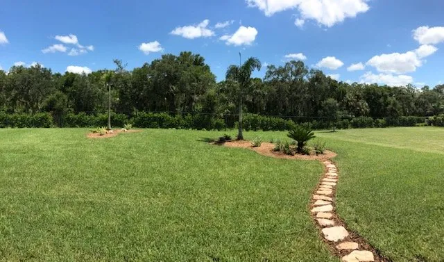 Top-rated yard cleanup service for beautiful yards across Bradenton, FL - New Roots Landscape Design