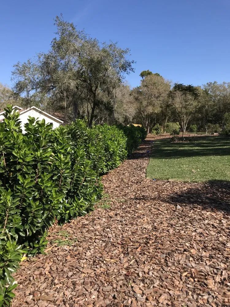 Top-rated residential landscaping in Bradenton, FL by New Roots Landscape Design