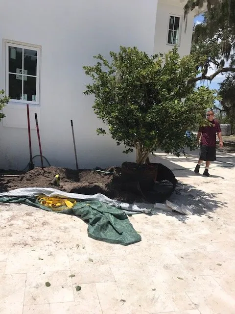 Reliable garden landscaping in Bradenton, FL - New Roots Landscape Design