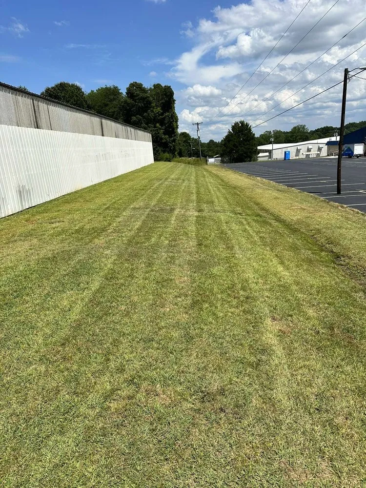 Local yard cleanup service in Lexington, NC - New Roots Landscape
