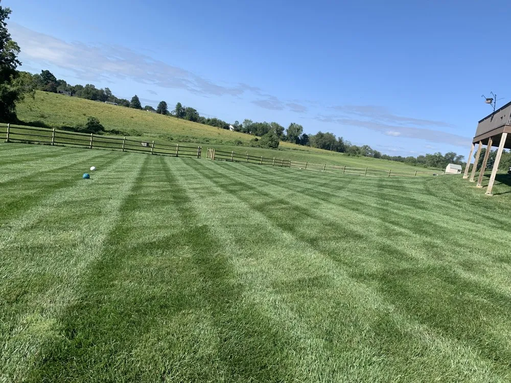 Local landscaping services in Avondale, PA - New roots landscaping