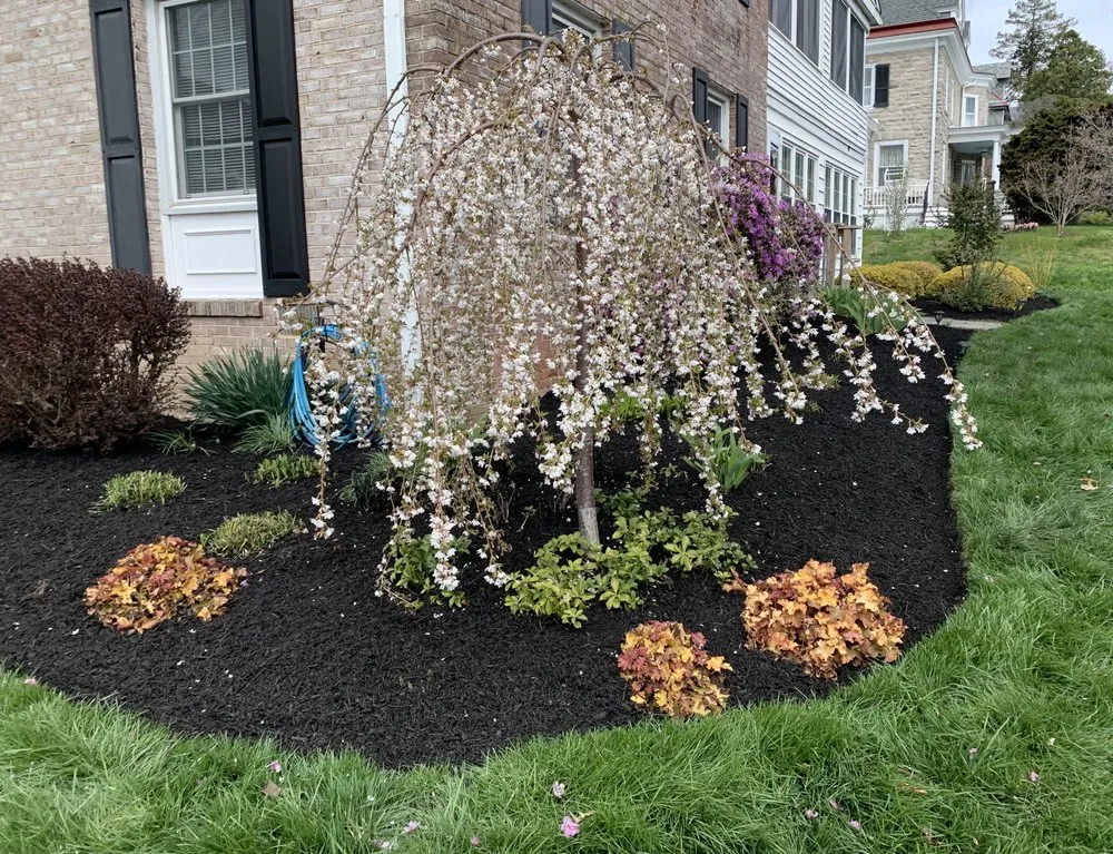 Expert landscape installation for beautiful yards across Avondale, PA - New roots landscaping