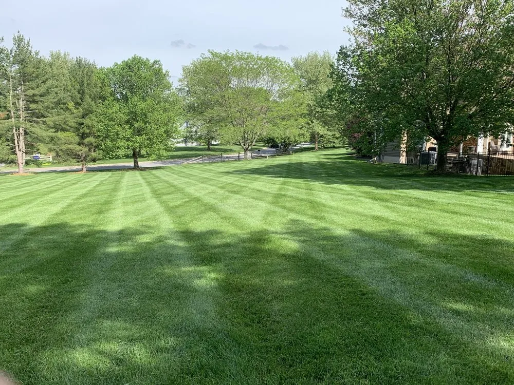 Top-rated landscape installation for homes across Avondale, PA - New roots landscaping