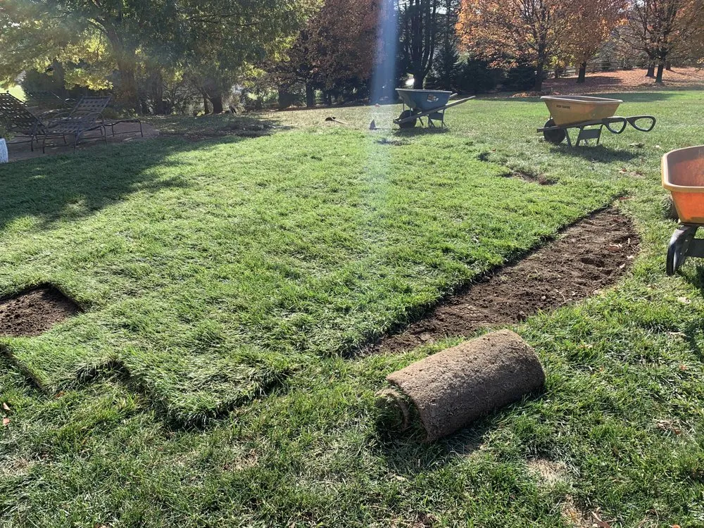 Professional landscaping services in Avondale, PA by New roots landscaping