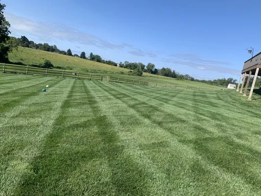 New roots landscaping