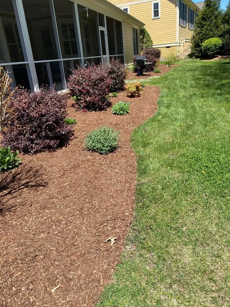 Top-rated yard cleanup service in East Flat Rock, NC by New Roots Landscaping