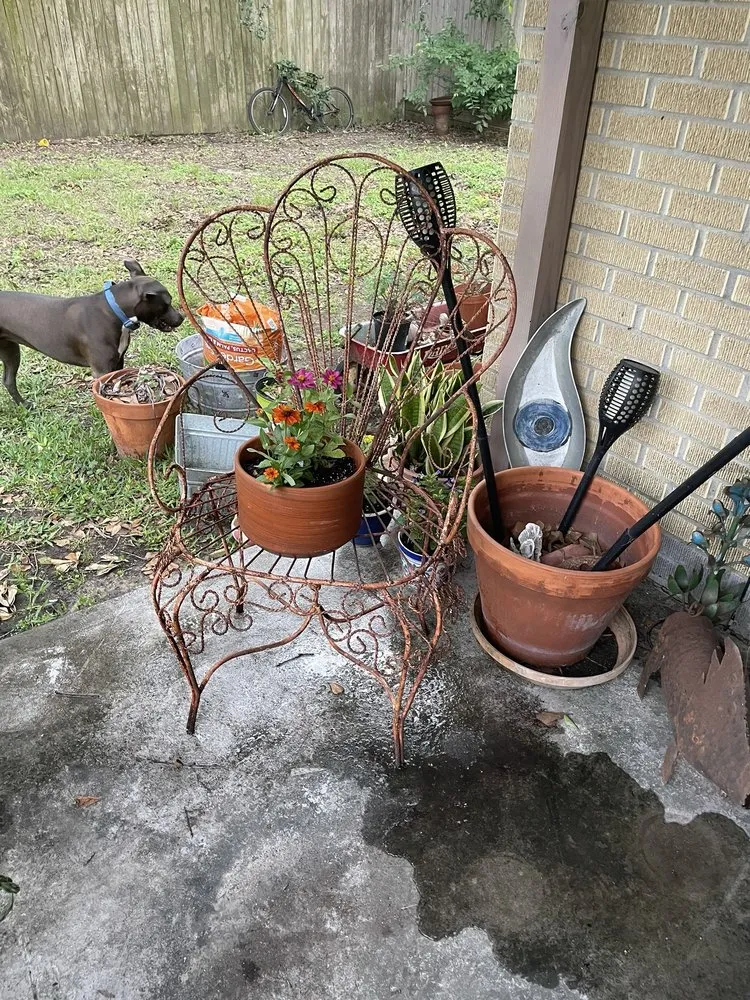 Local lawn care service experts serving Houston, TX - New Roots Landscaping