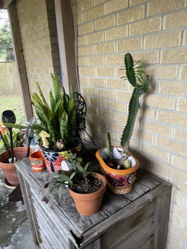 Expert garden landscaping in Houston, TX - New Roots Landscaping