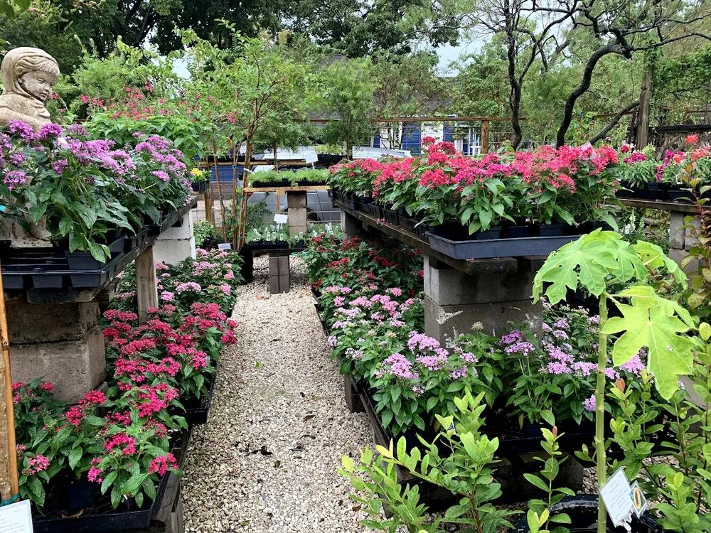 Custom landscape design in Houston, TX - New Roots Landscaping