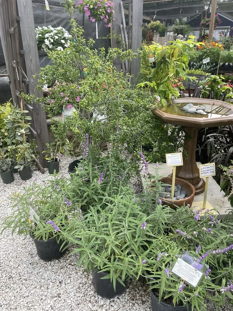 Trusted landscaping services experts serving Houston, TX - New Roots Landscaping