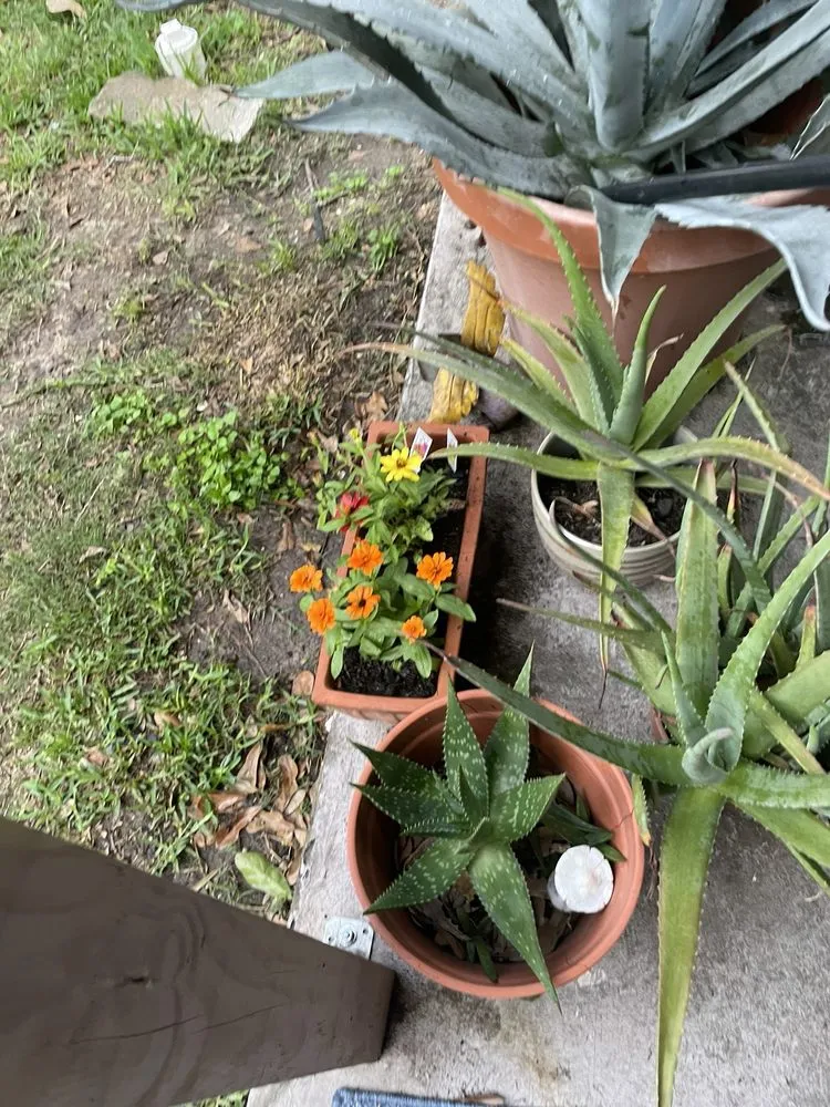 Professional lawn mowing service experts serving Houston, TX - New Roots Landscaping