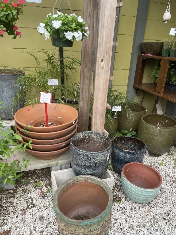 Expert yard cleanup service experts serving Houston, TX - New Roots Landscaping