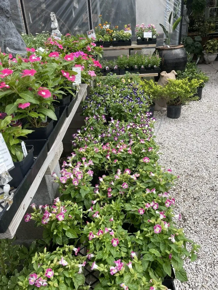 Custom yard cleanup service in Houston, TX - New Roots Landscaping