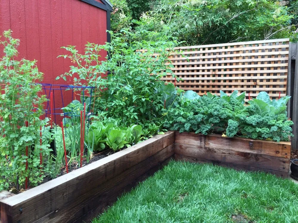 Affordable lawn mowing service in Sacramento, CA by New Scapes