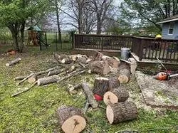 Expert yard maintenance in Tulsa, OK by New Season Lawn and Tree