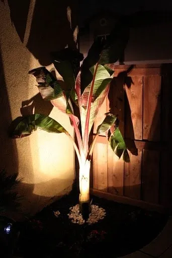 Local garden landscaping in Colton, CA by New Seed Landscape Services