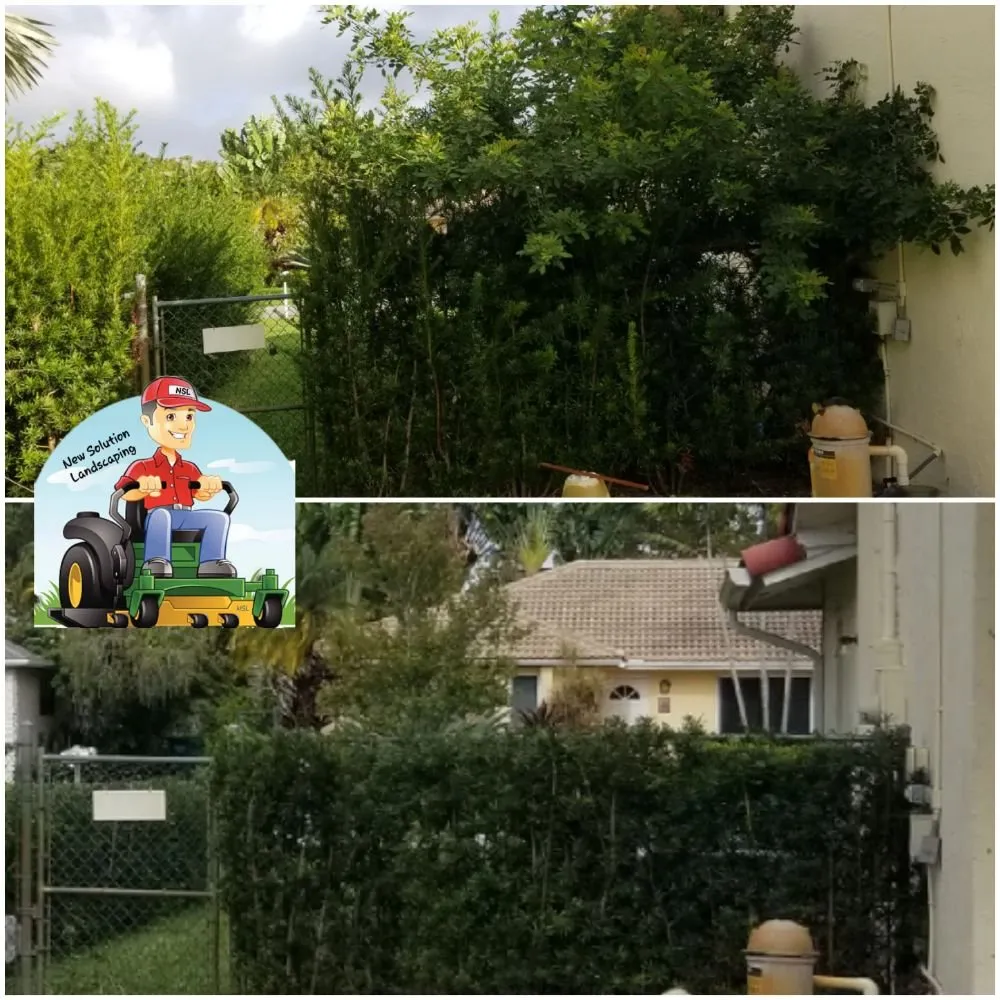 Professional outdoor landscaping near you across Pompano Beach, FL - New Solution Landscaping