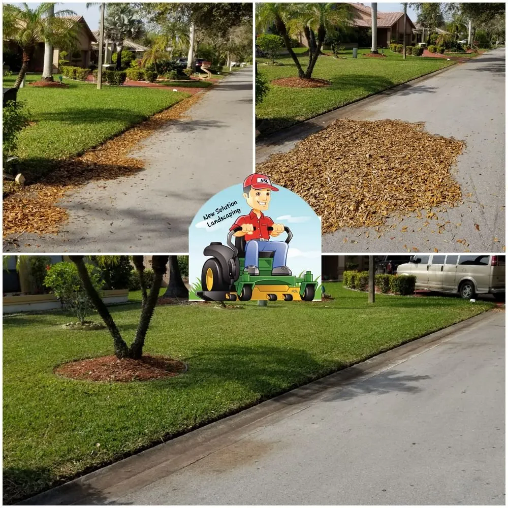 Top-rated landscaping services for residential properties across Pompano Beach, FL - New Solution Landscaping
