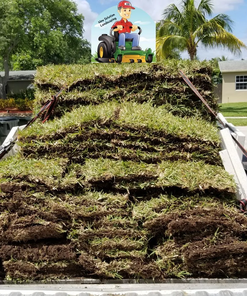 Professional yard cleanup service for homes across Pompano Beach, FL - New Solution Landscaping