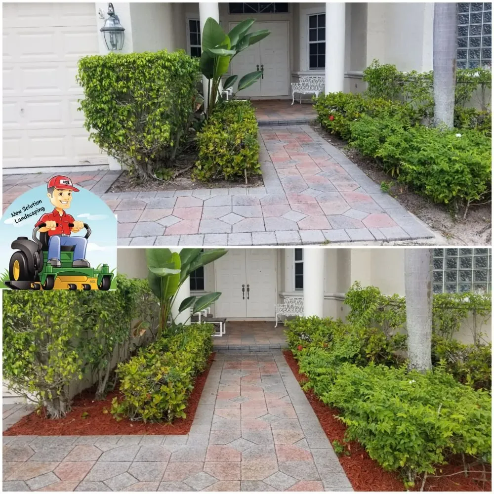 Reliable landscape installation in Pompano Beach, FL - New Solution Landscaping