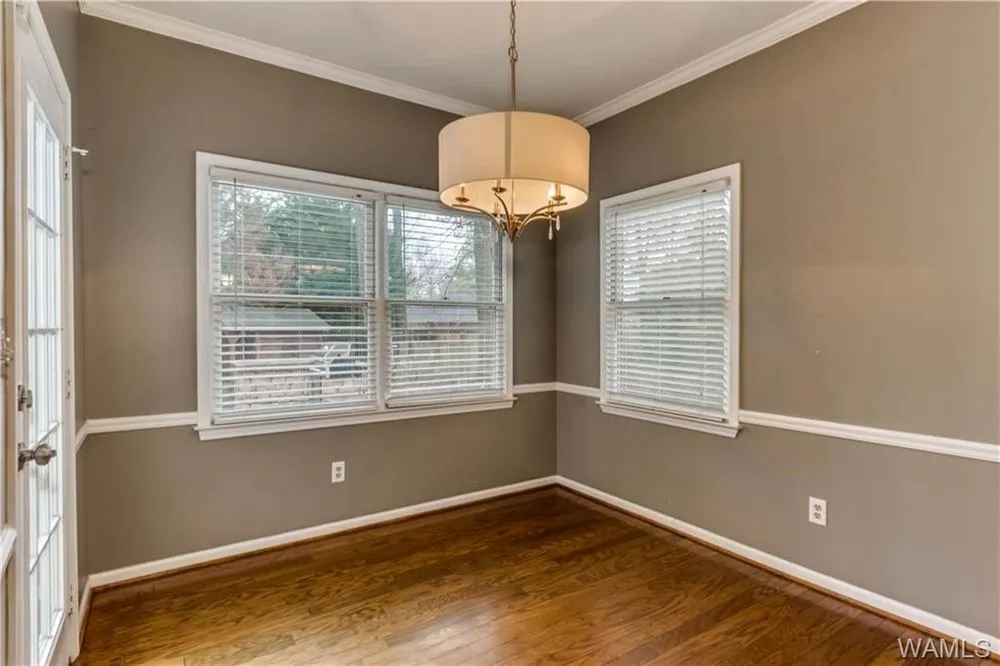 Reliable yard cleanup service in Tuscaloosa, AL - New South Home Solutions