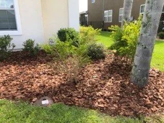 Affordable lawn mowing service for homes across St. Augustine, FL - New Spring Lawn Care