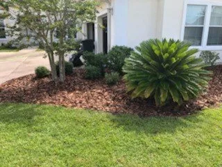 Trusted lawn mowing service for homes in St. Augustine, FL by New Spring Lawn Care