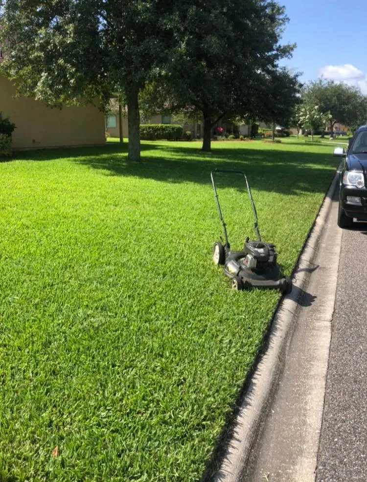 Local residential landscaping near you across St. Augustine, FL - New Spring Lawn Care