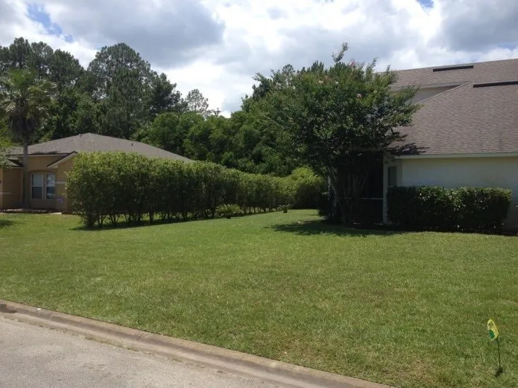 Custom lawn mowing service in St. Augustine, FL by New Spring Lawn Care