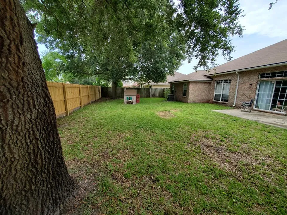 Professional outdoor landscaping experts serving St. Augustine, FL - New Spring Lawn Care