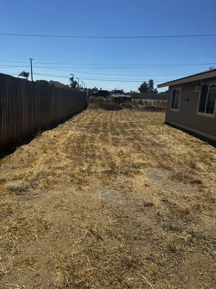 Professional lawn care service for beautiful yards in San Fernando Valley, CA by New Style Landscaping