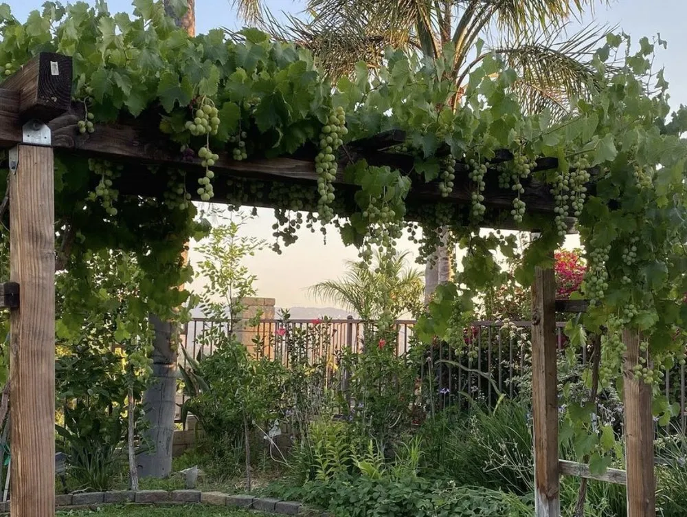 Expert garden landscaping for year-round maintenance across San Fernando Valley, CA - New Style Landscaping