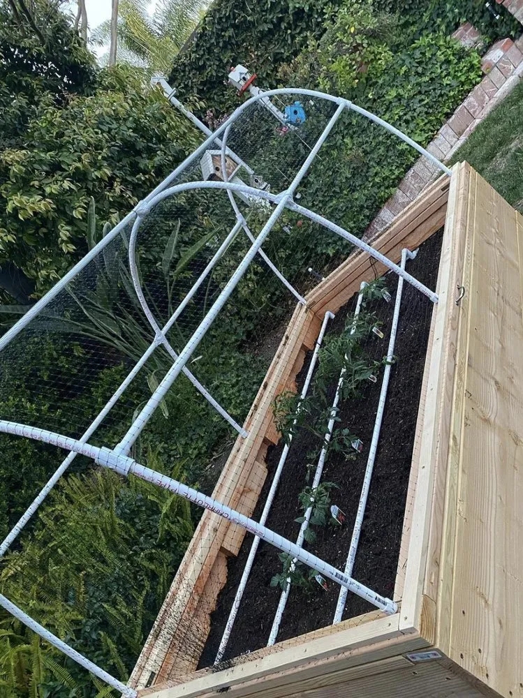 Affordable yard cleanup service in San Fernando Valley, CA by New Style Landscaping