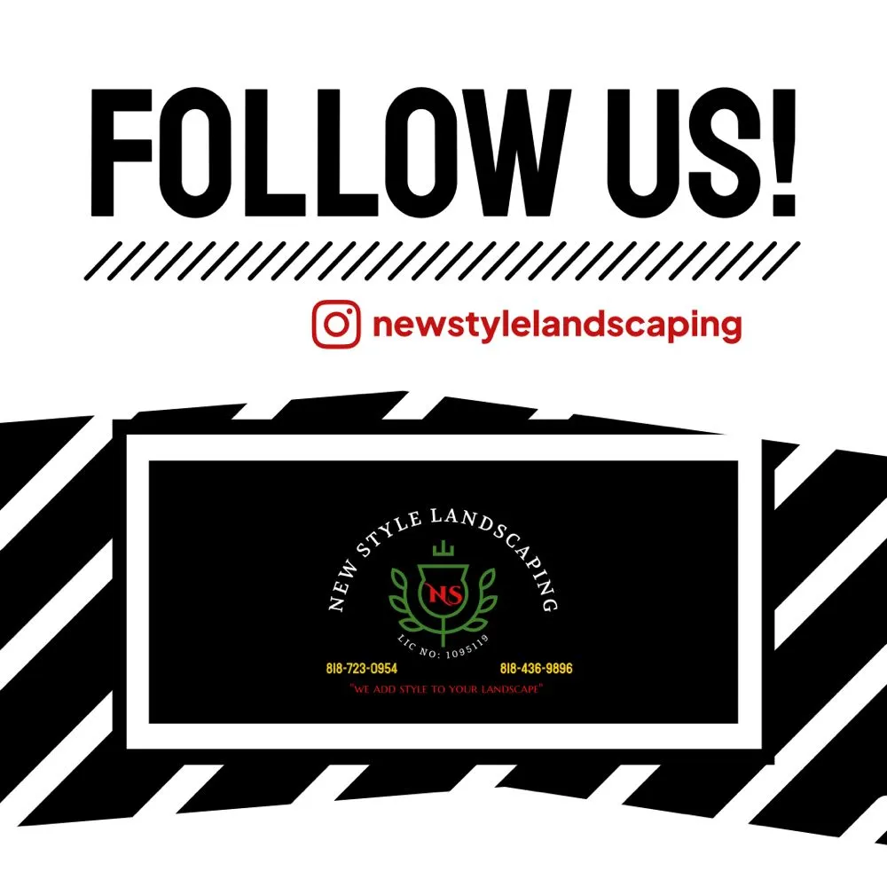 Custom yard cleanup service for year-round maintenance across San Fernando Valley, CA - New Style Landscaping