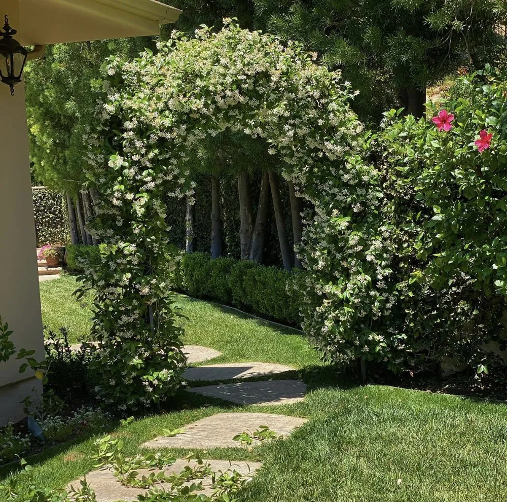 Reliable lawn care service in San Fernando Valley, CA by New Style Landscaping