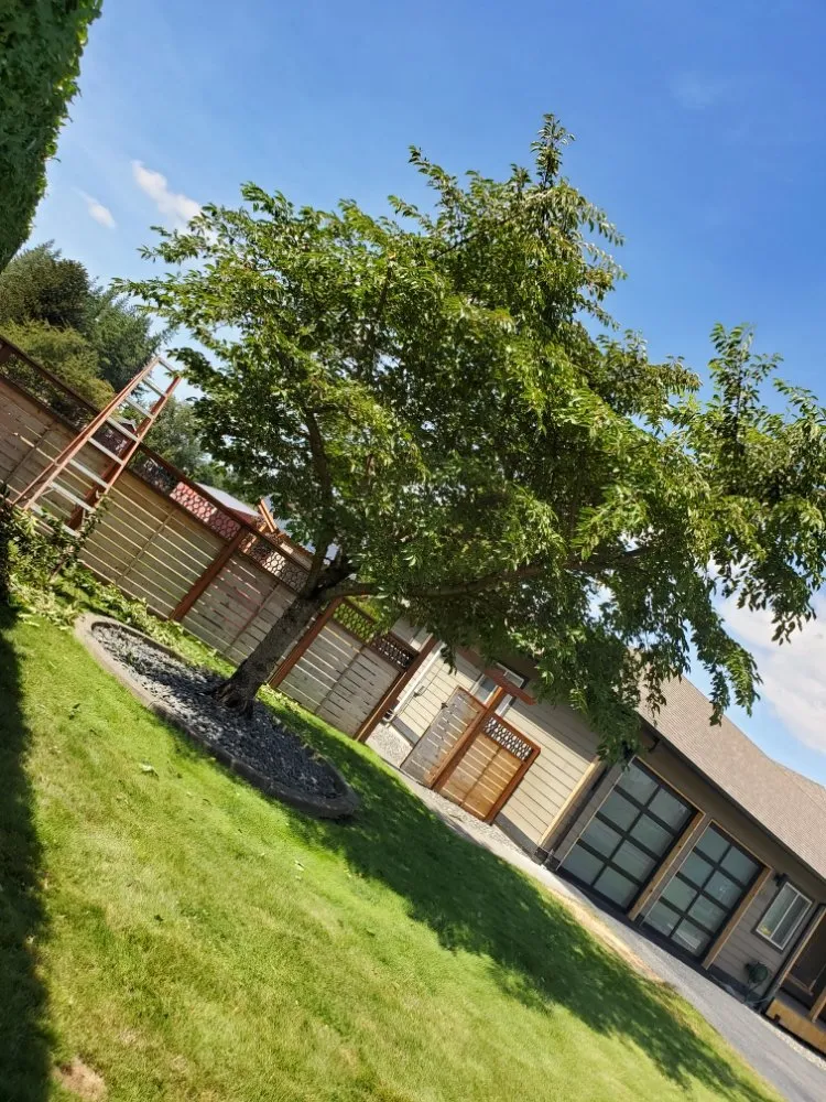 Local landscaping services in Bellingham, WA - New true Green Landscaping