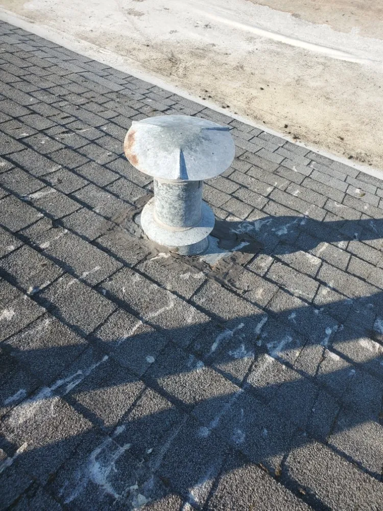 Affordable garden landscaping in Bellingham, WA by New true Green Landscaping