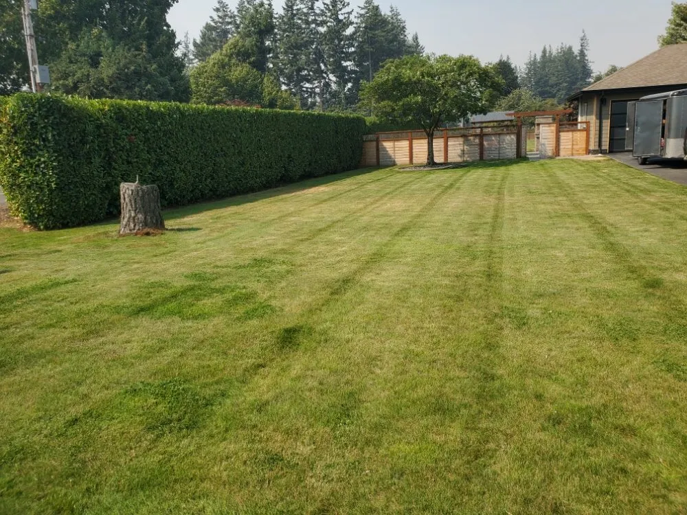 Trusted garden landscaping for beautiful yards in Bellingham, WA by New true Green Landscaping
