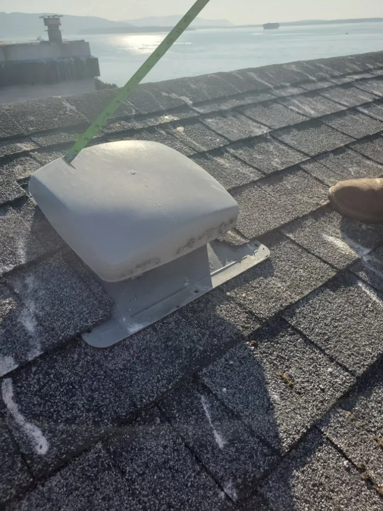 Expert lawn care service for beautiful yards in Bellingham, WA by New true Green Landscaping