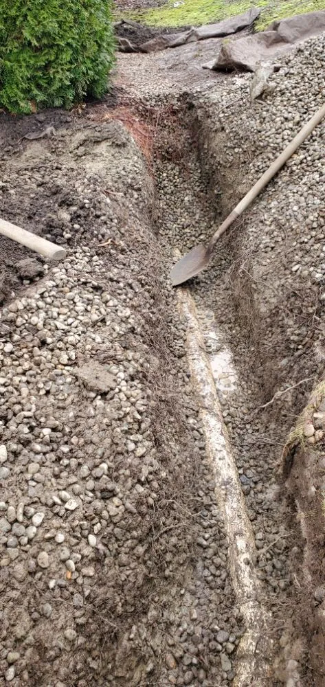 Local lawn mowing service for outdoor upgrades in Bellingham, WA by New true Green Landscaping