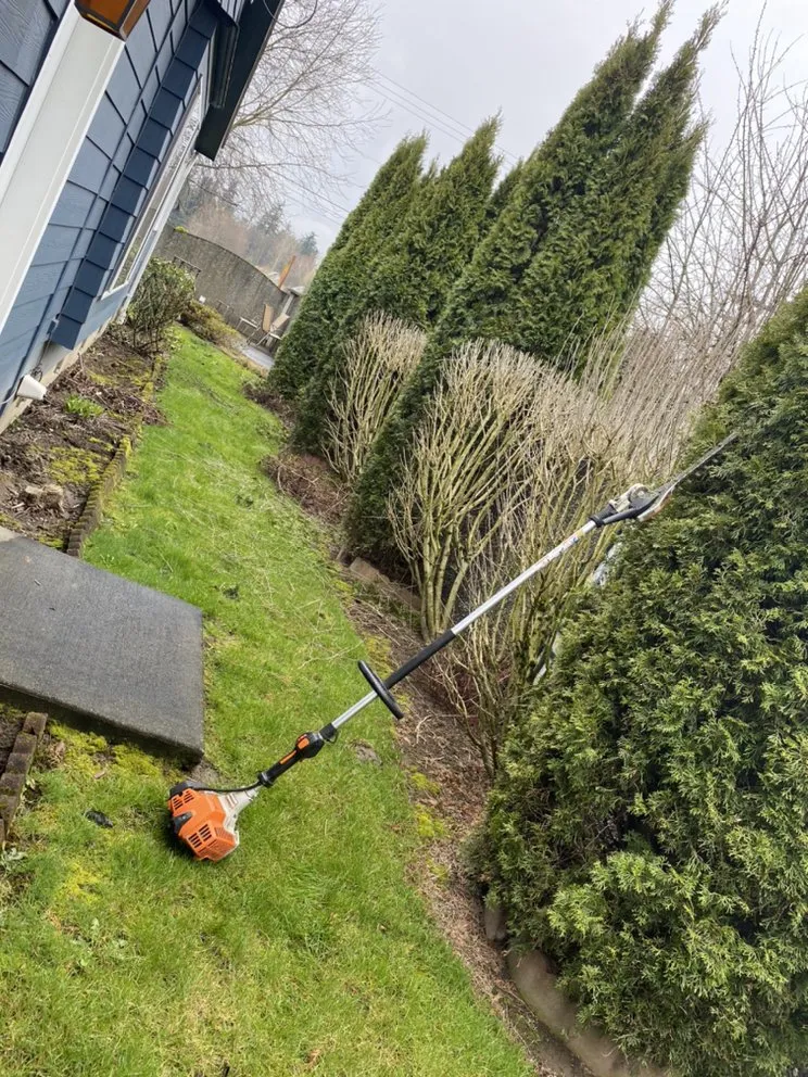 Trusted lawn mowing service in Bellingham, WA - New true Green Landscaping