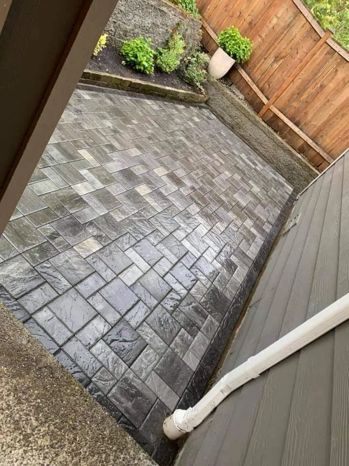 Affordable landscaping services experts serving Bellingham, WA - New true Green Landscaping