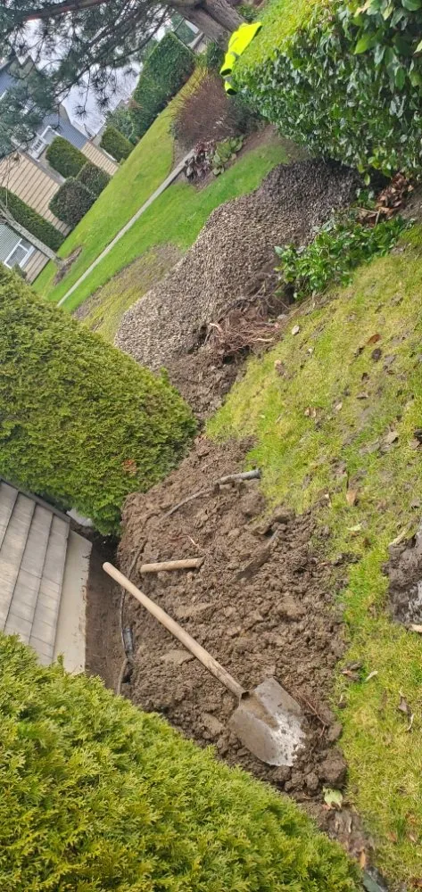 Custom landscape installation in Bellingham, WA - New true Green Landscaping