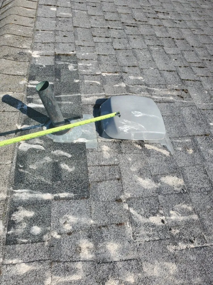 Affordable lawn mowing service experts serving Bellingham, WA - New true Green Landscaping