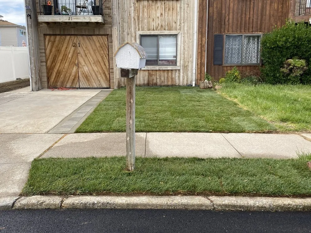 Trusted yard cleanup service in Staten Island, NY by New Twins Landscaping and Construction