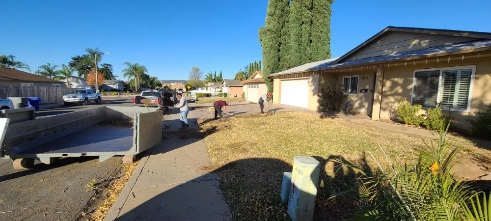 Affordable yard maintenance experts serving San Diego, CA - New Valley Landscaping Services