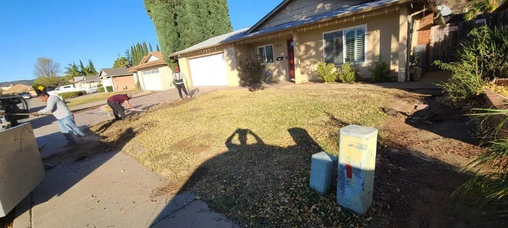 Trusted garden landscaping for homes in San Diego, CA by New Valley Landscaping Services