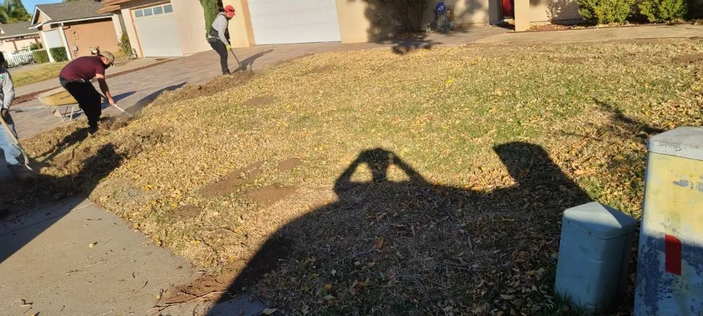 Reliable landscape installation for residential properties in San Diego, CA by New Valley Landscaping Services